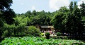 長沙出發(fā)到花明樓、韶山、張家界國家森林公園、天門仙山國家森林公園四日游