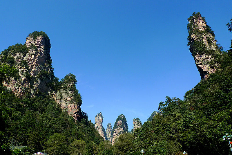 張家界國家森林公園、黃龍洞、天門山、鳳凰古城純玩五日游